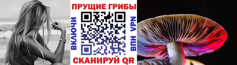 Псилоцибиновые грибы мухоморы  Ессентукская 